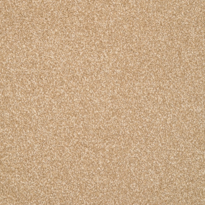 Beacon Hill &mdash; Cut Pile &middot; EnVision BCF Nylon