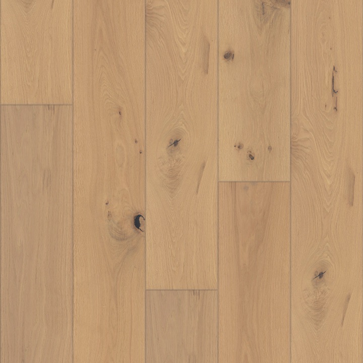 Shaw Expressions 9.5&rdquo; &mdash; Harmony &mdash; Gallery Collection &middot; White Oak &mdash; subtle warmth.