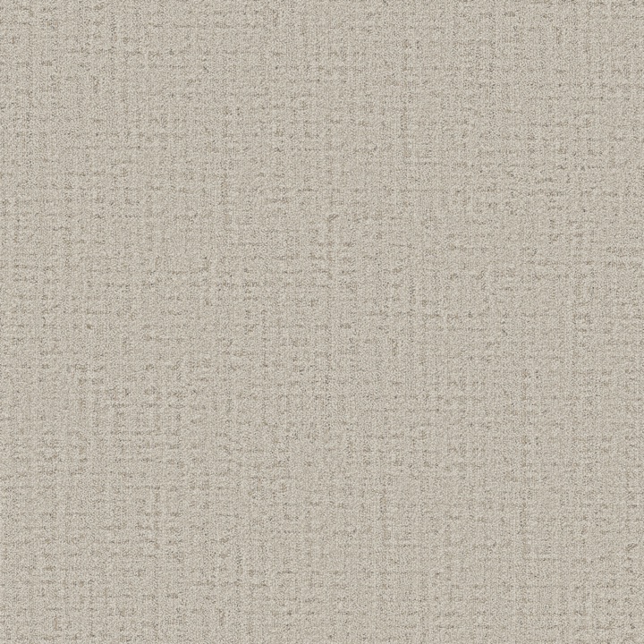 Anderson Tuftex In Step &mdash; Loop / Berber (PET)