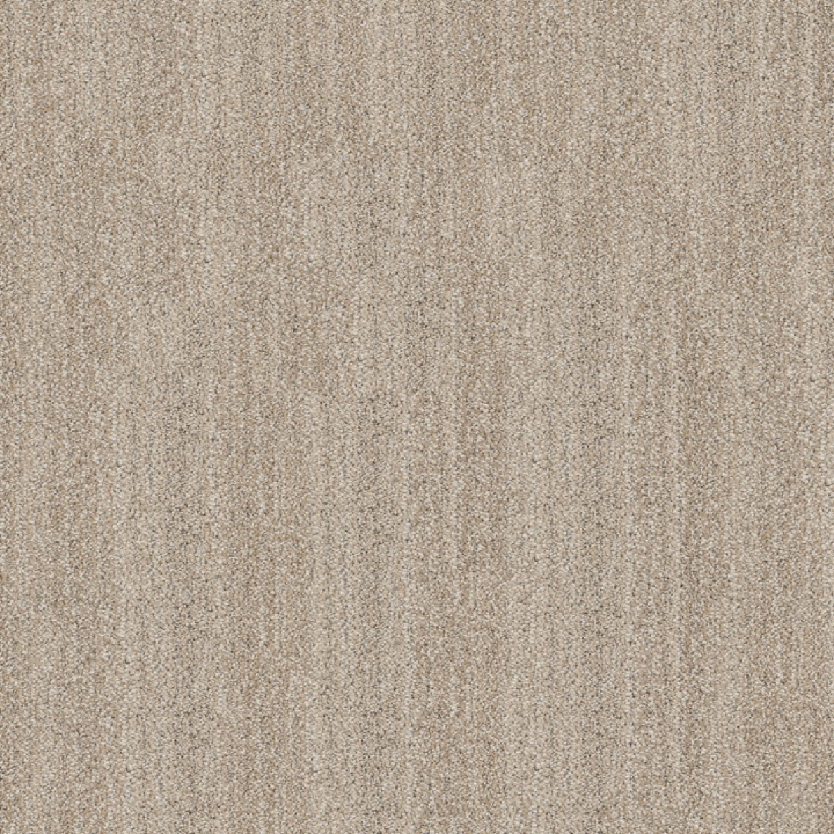 Anderson Tuftex In Tempo &mdash; Loop / Berber (PET)