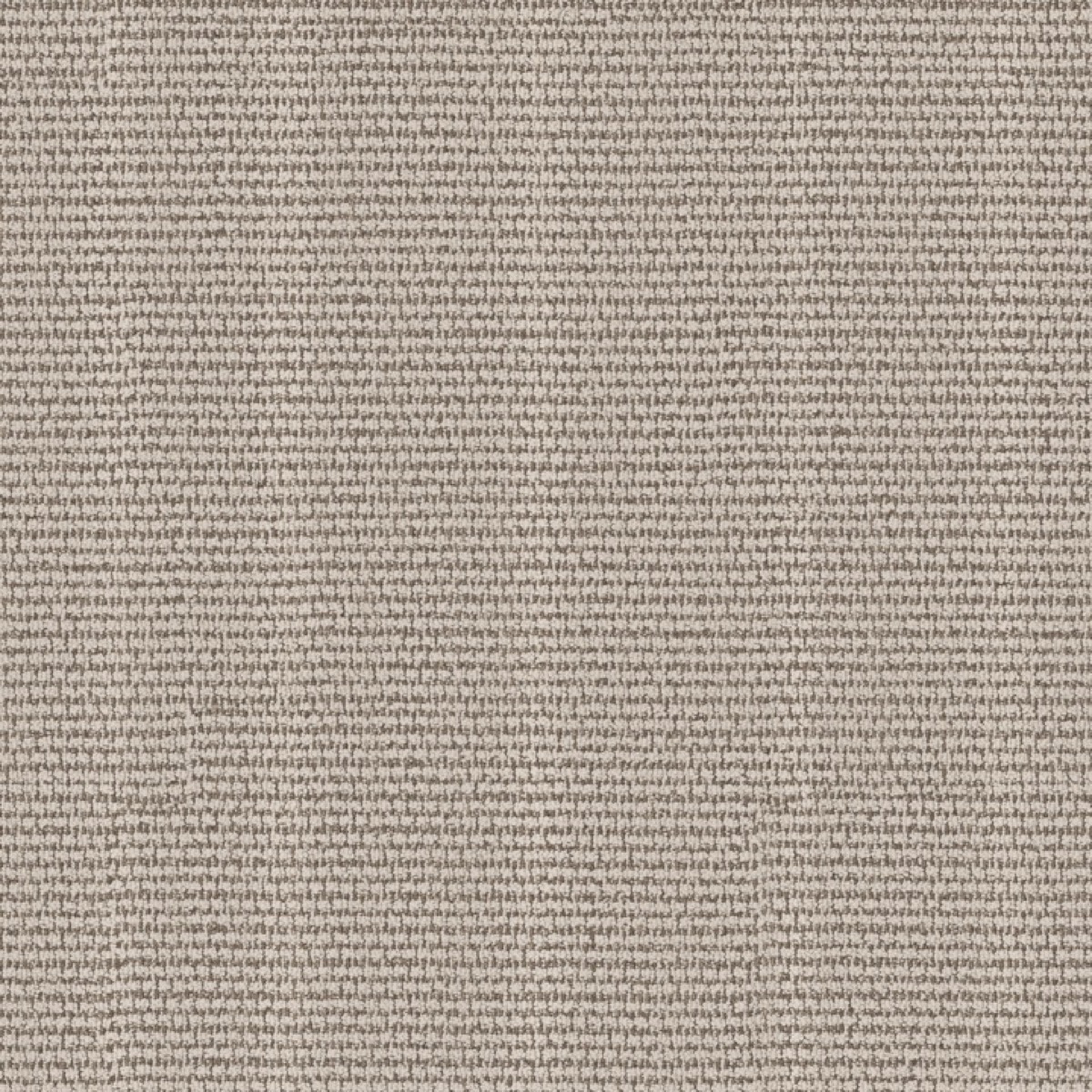 Anderson Tuftex Laine &mdash; Cut Pile (ANSO PET)