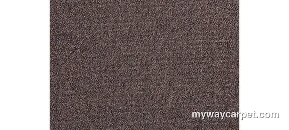 Aladdin Commercial Scholarship II 26 carpet swatch