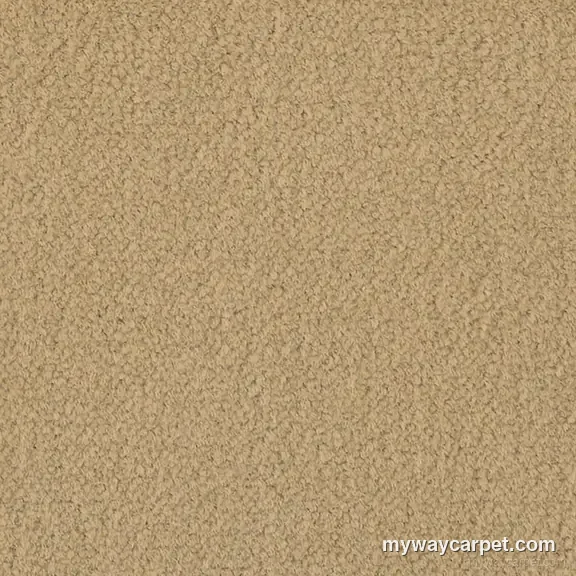 Aladdin Commercial Influencer 36 carpet swatch