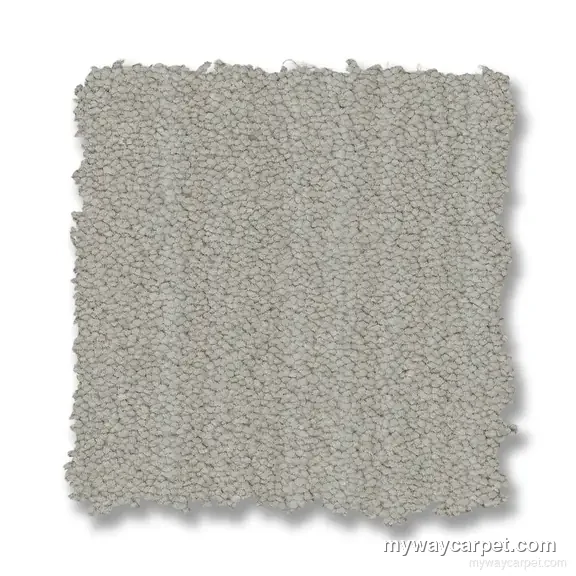Magnifique carpet from Anderson Tuftex