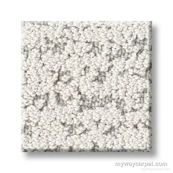 Tangent carpet from Anderson Tuftex