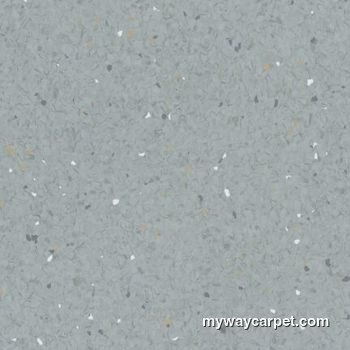 Armstrong Medintone Petrified Gray (70009) homogeneous sheet vinyl swatch