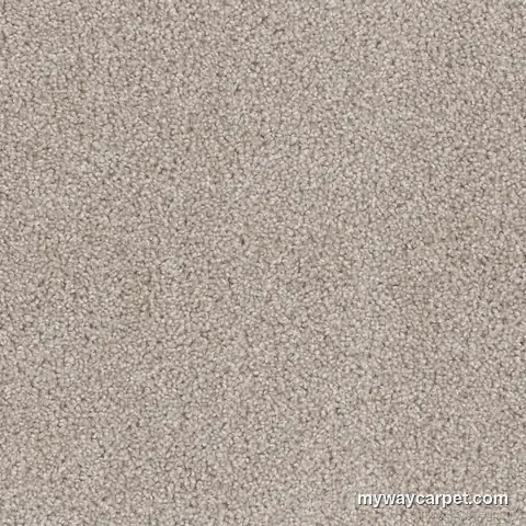 Cedar Creek 2030 cut-pile carpet from DreamWeaver, Cameo colorway