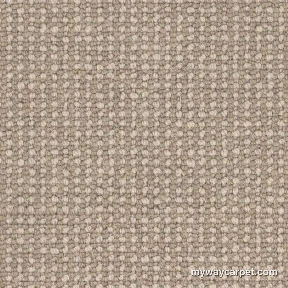 Andros carpet from Masland