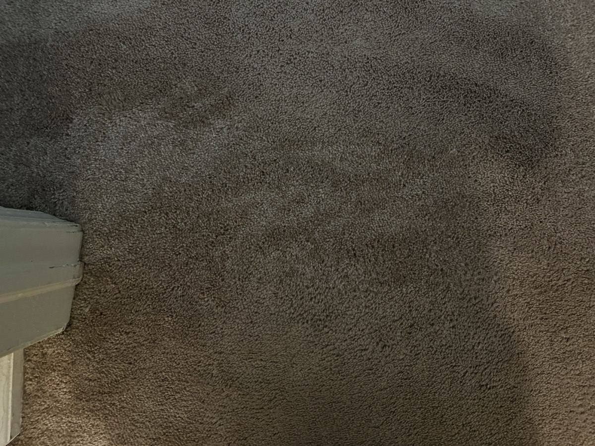 Close-up of the repaired carpet area — seam nearly invisible