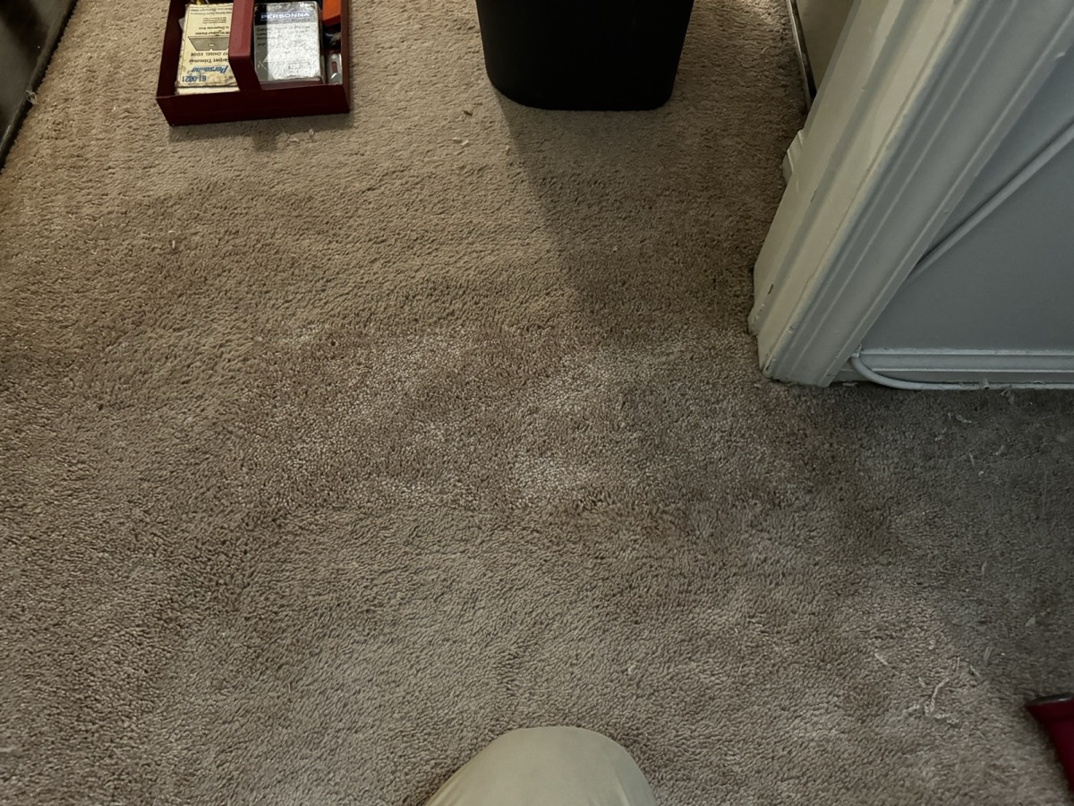 Wide view of the repaired carpet area showing an invisible patch