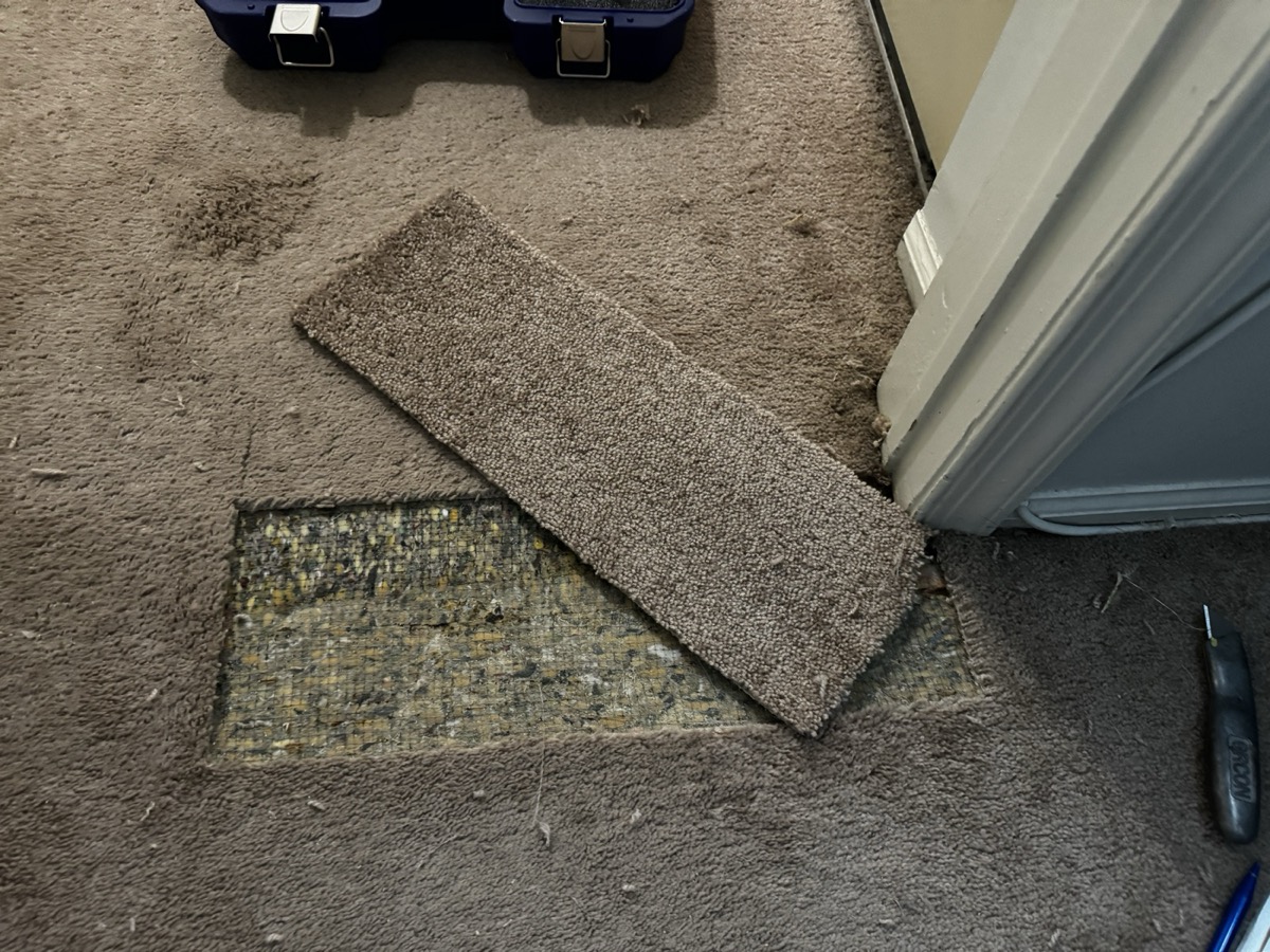 Clean rectangle cut out of the damaged area with donor piece positioned next to it