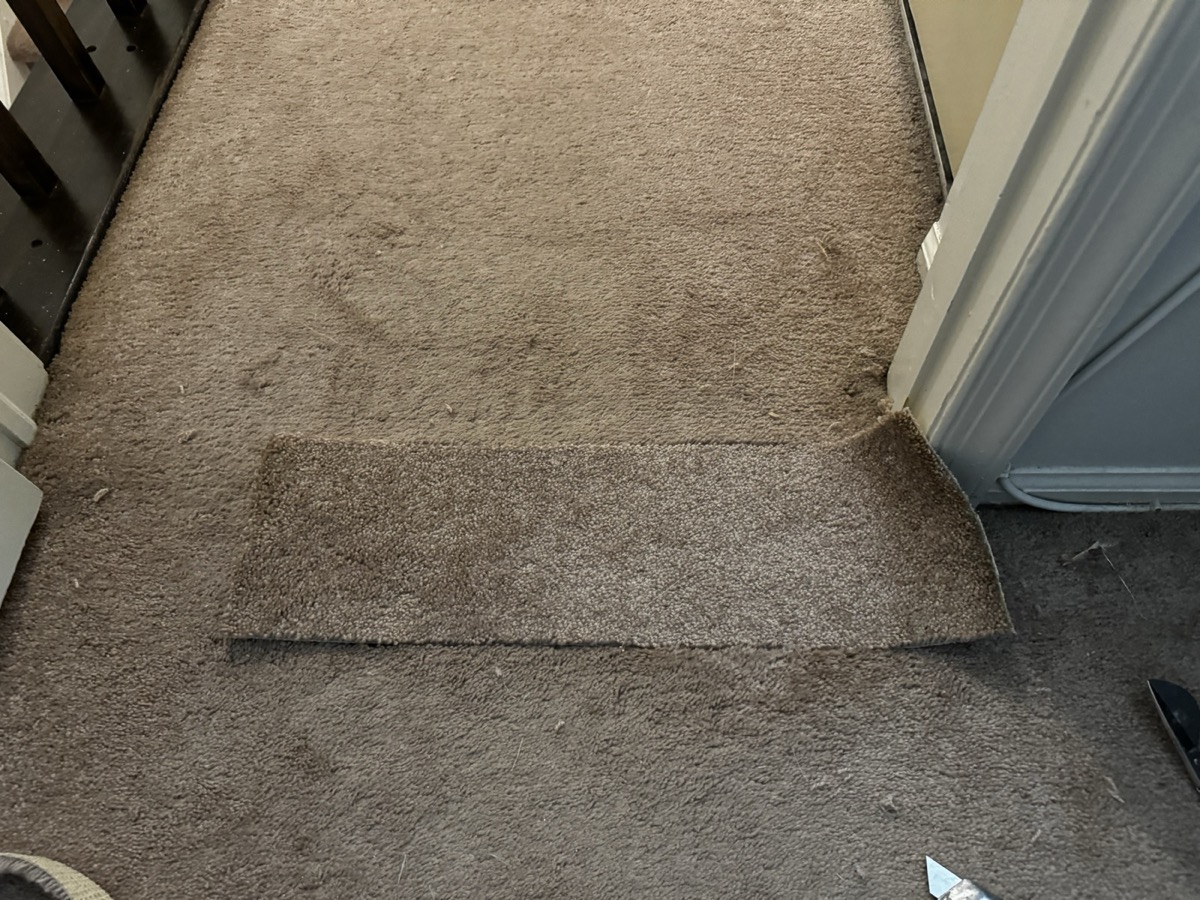 Donor patch dropped into the opening, matching the surrounding carpet